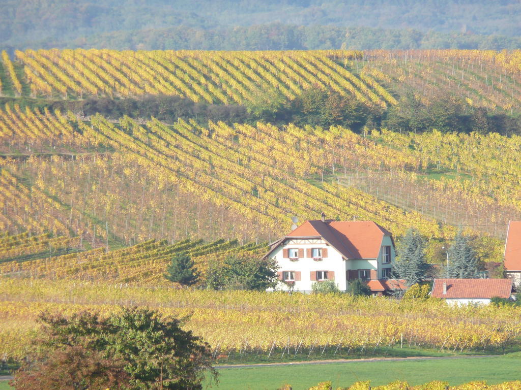 Maison D'Hotes Les Feuilles D'Or Eichhoffen Luaran gambar