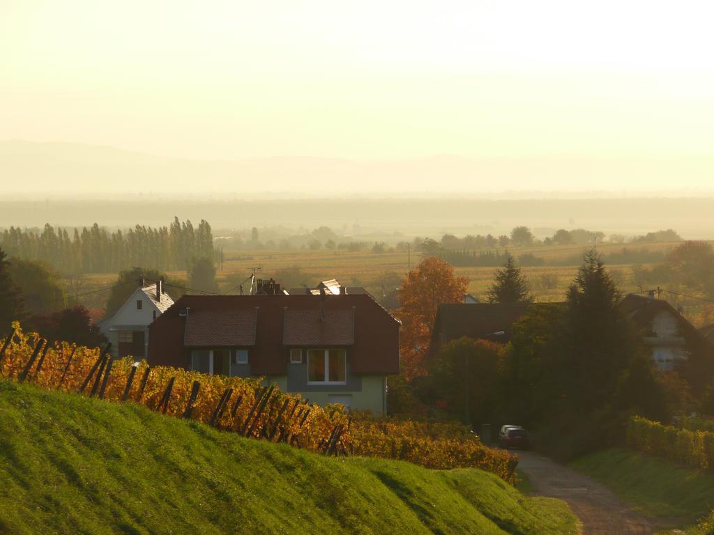 Maison D'Hotes Les Feuilles D'Or Eichhoffen Luaran gambar