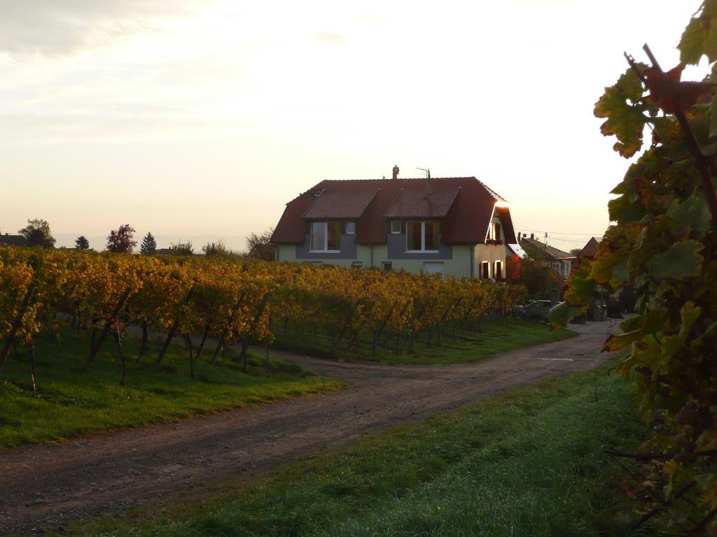 Maison D'Hotes Les Feuilles D'Or Eichhoffen Luaran gambar