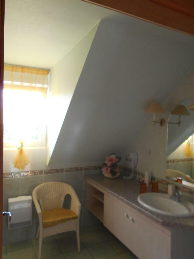 Maison D'Hotes Les Feuilles D'Or Eichhoffen Luaran gambar